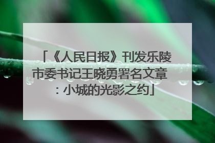 《人民日报》刊发乐陵市委书记王晓勇署名文章：小城的光影之约
