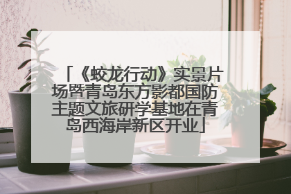 《蛟龙行动》实景片场暨青岛东方影都国防主题文旅研学基地在青岛西海岸新区开业