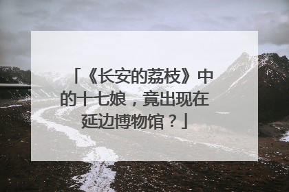 《长安的荔枝》中的十七娘，竟出现在延边博物馆？