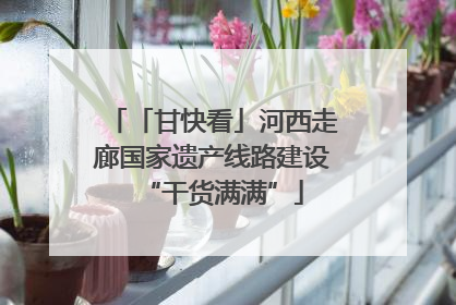 「甘快看」河西走廊国家遗产线路建设“干货满满”