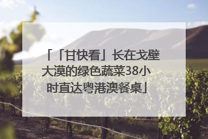 「甘快看」长在戈壁大漠的绿色蔬菜38小时直达粤港澳餐桌