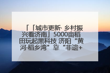 「城市更新· 乡村振兴看济南」5000亩稻田玩起黑科技 济阳“黄河·稻乡湾”靠“非遗+露营”火出圈