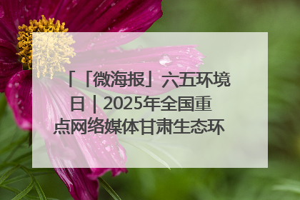 「微海报」六五环境日｜2025年全国重点网络媒体甘肃生态环保行走进兰州新区