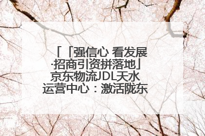 「强信心 看发展·招商引资拼落地」京东物流JDL天水运营中心：激活陇东南区域经济新引擎