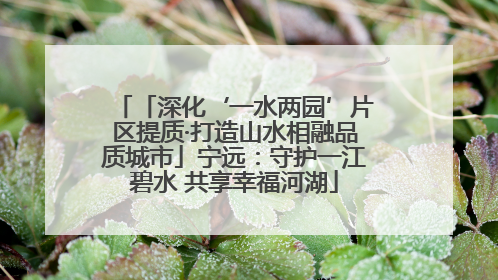 「深化‘一水两园’片区提质·打造山水相融品质城市」宁远：守护一江碧水 共享幸福河湖