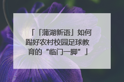 「蒲湖新语」如何踢好农村校园足球教育的“临门一脚”