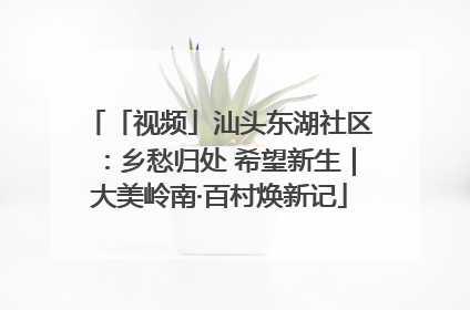 「视频」汕头东湖社区：乡愁归处 希望新生｜大美岭南·百村焕新记