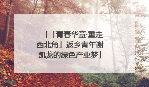「青春华章·重走西北角」返乡青年谢凯龙的绿色产业梦