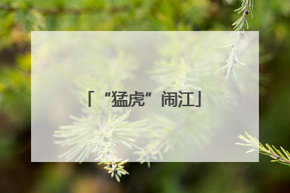 “猛虎”闹江