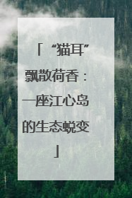“猫耳”飘散荷香：一座江心岛的生态蜕变