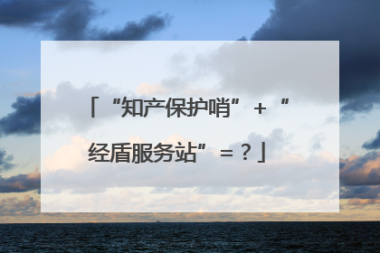 “知产保护哨”+“经盾服务站”=？