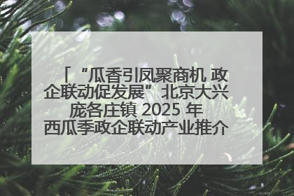 “瓜香引凤聚商机 政企联动促发展”北京大兴庞各庄镇 2025 年西瓜季政企联动产业推介活动圆满举行