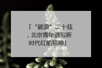 “破浪”二十载，北京青年谱写新时代红船精神