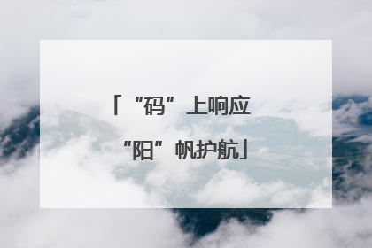 “码”上响应 “阳”帆护航