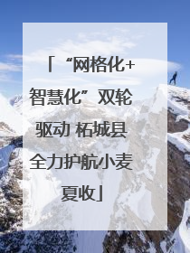 “网格化+智慧化”双轮驱动 柘城县全力护航小麦夏收