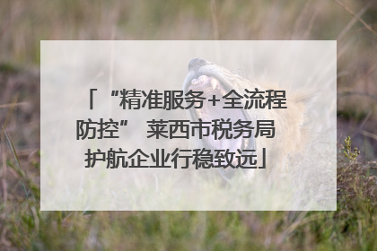 “精准服务+全流程防控” 莱西市税务局护航企业行稳致远