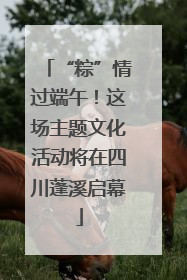 “粽”情过端午！这场主题文化活动将在四川蓬溪启幕