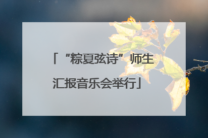 “粽夏弦诗”师生汇报音乐会举行