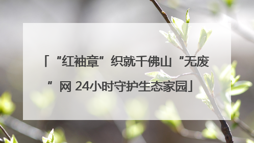 “红袖章”织就千佛山“无废”网 24小时守护生态家园