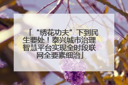 “绣花功夫”下到民生要处！泰兴城市治理智慧平台实现全时段联网全要素细治