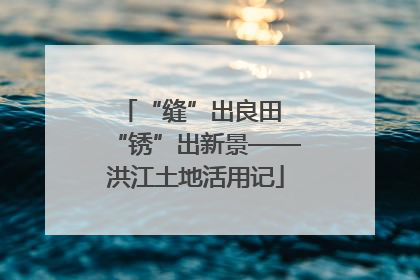 “缝”出良田 “锈”出新景——洪江土地活用记