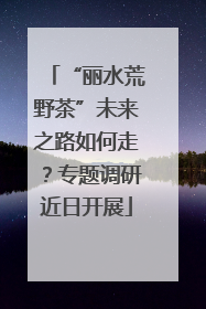“丽水荒野茶”未来之路如何走？专题调研近日开展