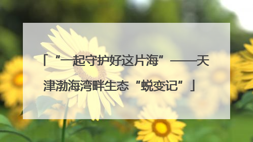 “一起守护好这片海”——天津渤海湾畔生态“蜕变记”