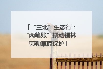 “三北”生态行：“两笔账”撬动锡林郭勒草原保护