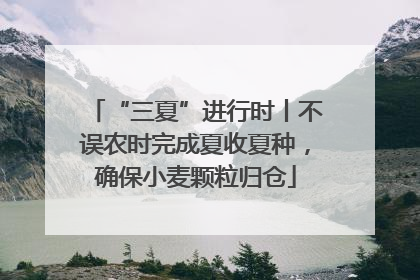 “三夏”进行时丨不误农时完成夏收夏种，确保小麦颗粒归仓