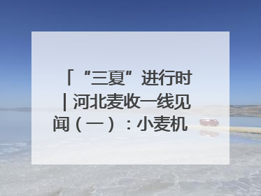 “三夏”进行时｜河北麦收一线见闻（一）：小麦机收减损“竞技” 农机高手麦田“过招”