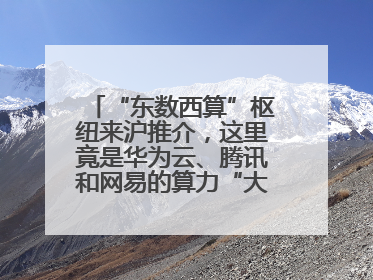 “东数西算”枢纽来沪推介，这里竟是华为云、腾讯和网易的算力“大本营”