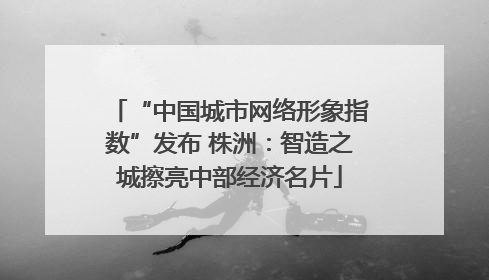 “中国城市网络形象指数”发布 株洲：智造之城擦亮中部经济名片