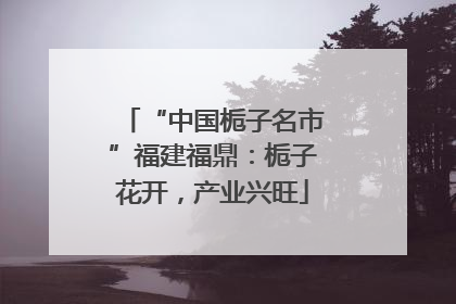 “中国栀子名市”福建福鼎：栀子花开，产业兴旺
