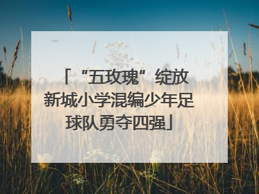 “五玫瑰”绽放 新城小学混编少年足球队勇夺四强
