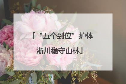 “五个到位”护体 淅川稳守山林