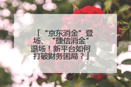 “京东消金”登场、“捷信消金”退场！新平台如何打破财务困局？
