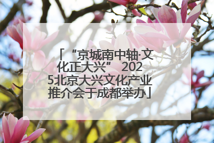“京城南中轴·文化正大兴” 2025北京大兴文化产业推介会于成都举办