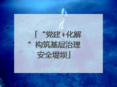 “党建+化解”构筑基层治理安全堤坝