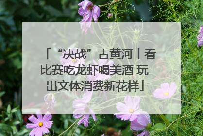 “决战”古黄河丨看比赛吃龙虾喝美酒 玩出文体消费新花样