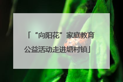 “向阳花”家庭教育公益活动走进塘村镇