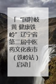 “国粹岐黄 健康铁岭”辽宁省第二届中医药文化夜市（铁岭站）启动