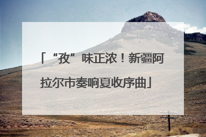 “孜”味正浓！新疆阿拉尔市奏响夏收序曲