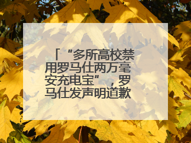 “多所高校禁用罗马仕两万毫安充电宝”，罗马仕发声明道歉：已展开核查