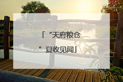 “天府粮仓”夏收见闻