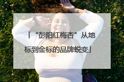 “彭阳红梅杏”从地标到金标的品牌蜕变