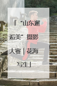 “山东邂逅美”摄影大赛｜花海写生