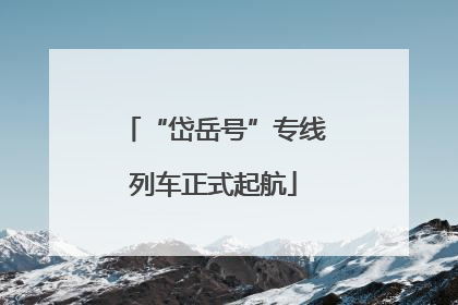 “岱岳号”专线列车正式起航