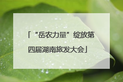 “岳农力量”绽放第四届湖南旅发大会