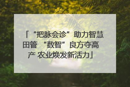 “把脉会诊”助力智慧田管 “数智”良方夺高产 农业焕发新活力