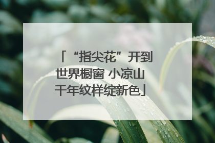 “指尖花”开到世界橱窗 小凉山千年纹样绽新色